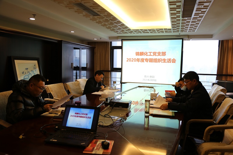1612952196477423.jpg 錦麟化工黨支部組織生活會(huì).JPG