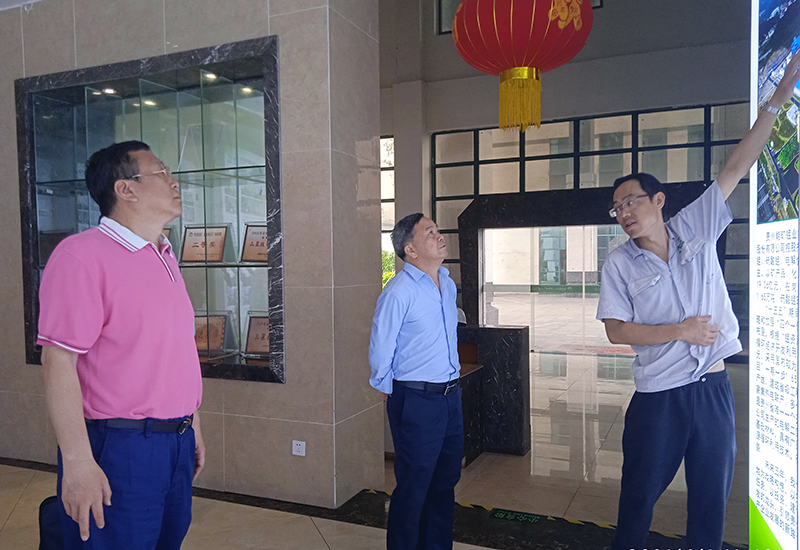 1622614793110999.jpg 2.jpg