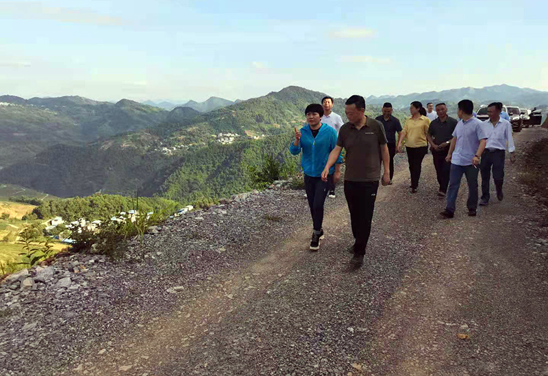 1622706981130744.jpg 1.jpg