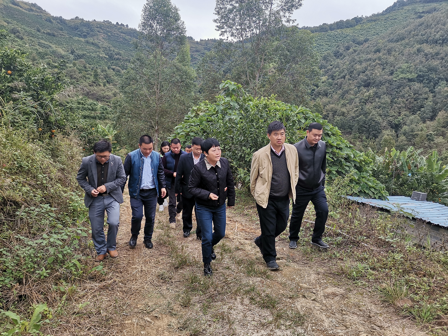 1636016927365090.jpg IMG_20211103_154439.jpg