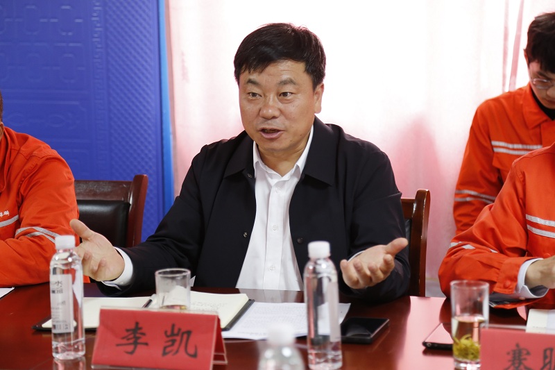 西能集團(tuán)黨委委員、副總經(jīng)理李凱.JPG