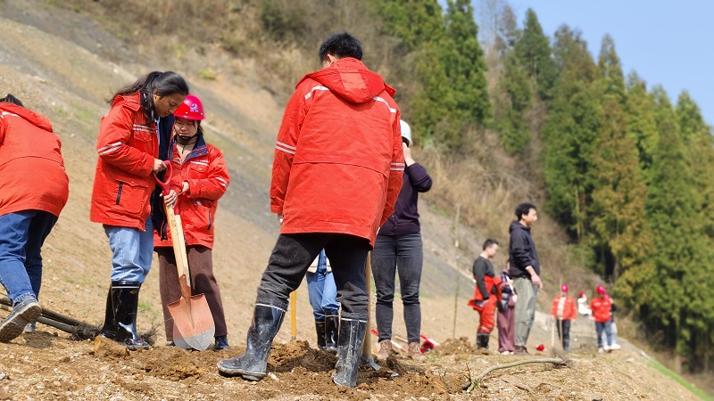 1710493562223698.jpg 植樹節(jié)2.jpg